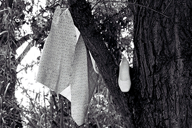 photo en noir et blanc. Fringues des jeunes mariés jetés dans les arbres, photographiée par notre photographe Rachel Joubi